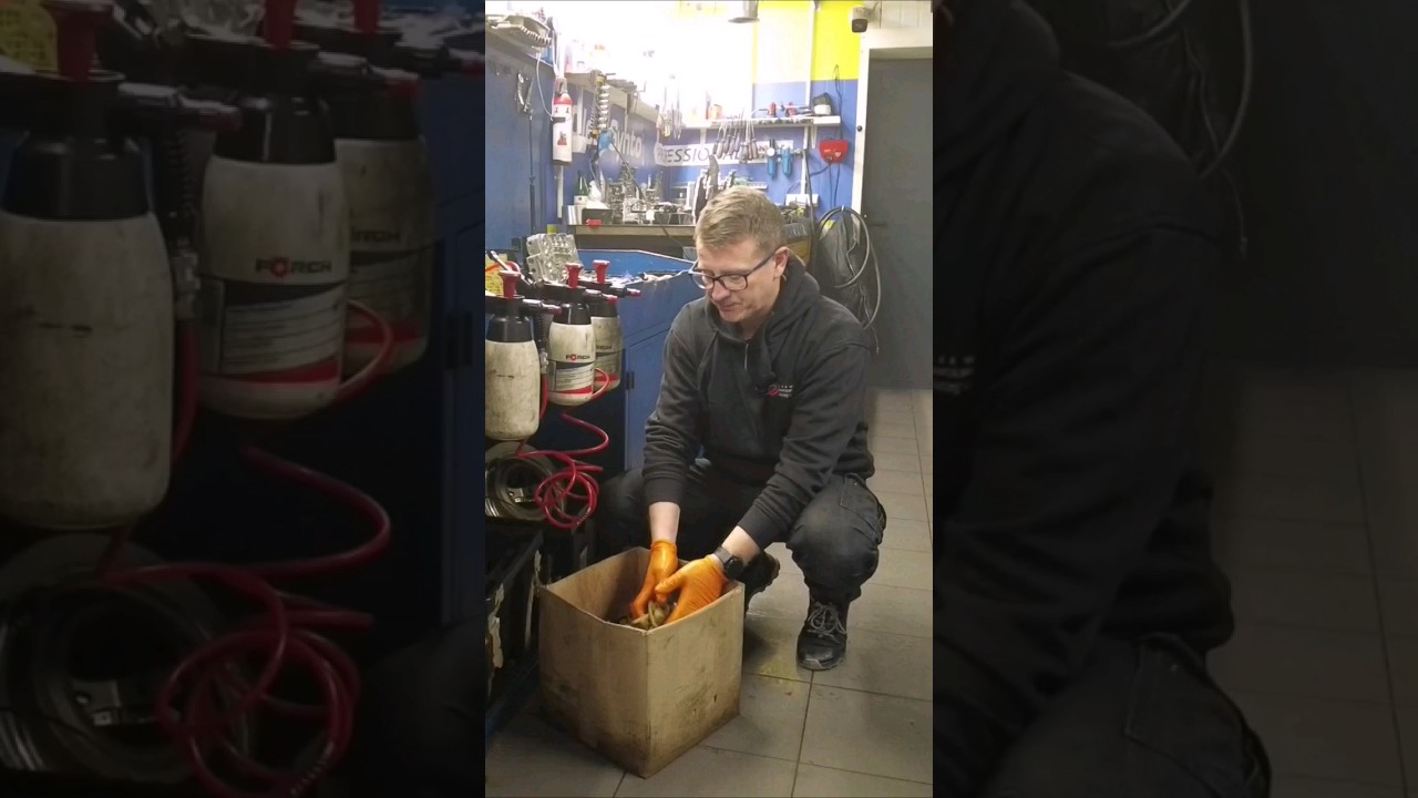 Powershift to dobra automatyczna skrzynia bieg&oacute;w? #shorts