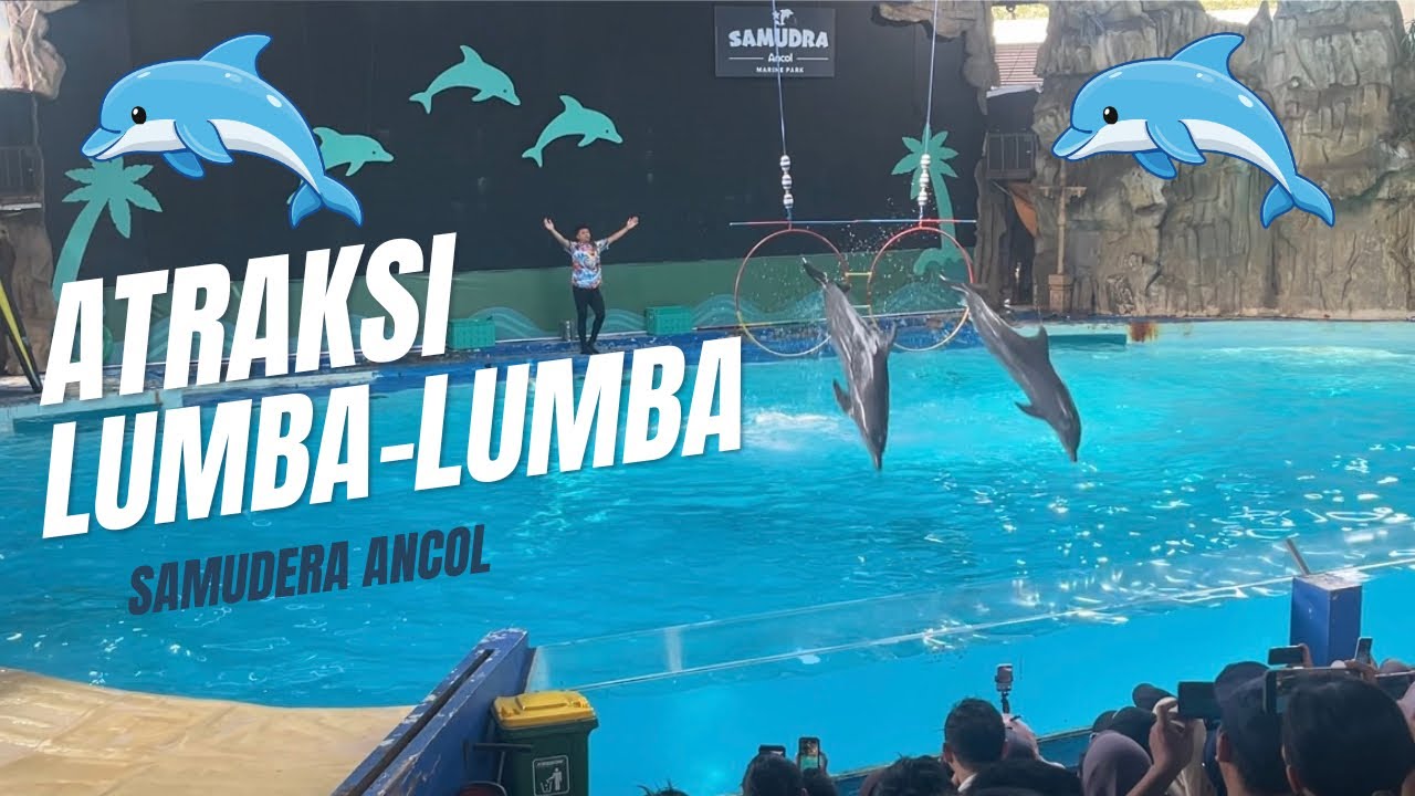 ATRAKSI LUMBA-LUMBA ANCOL TERBARU ‼️ LIBURAN KELUARGA DI SAMUDERA ANCOL 
