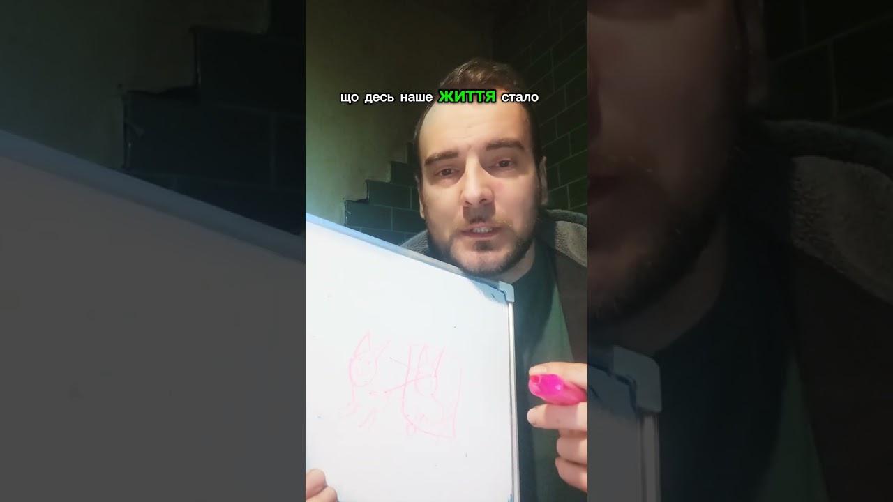 Експеримент з двома кошенятами . Подивитись - не означає навчитись