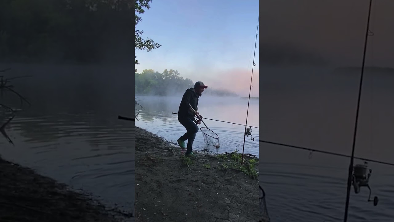 Pesca de CARPA GIGANTE! , short