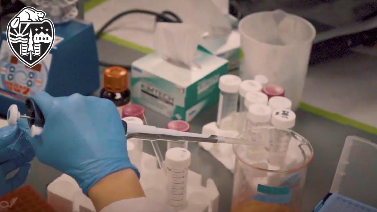 Undergraduate Research at OSU: The Virginia Weis Coral Research Lab