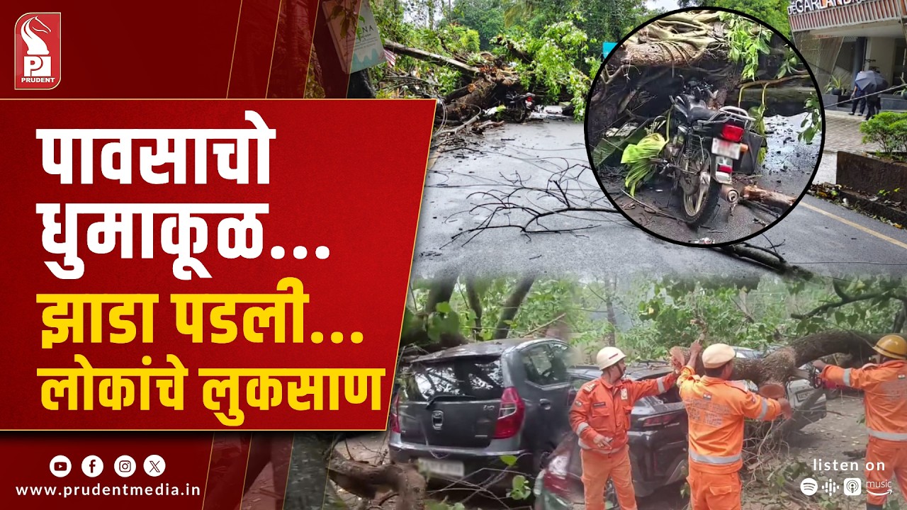 Monsoon Intensifies in Goa: Tree Falls Reported as IMD Issues Warning