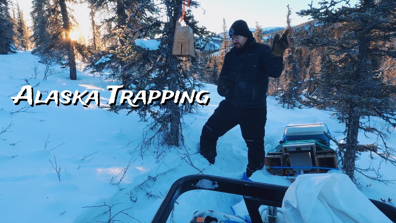 Turning the Trail Into a Real Trapline