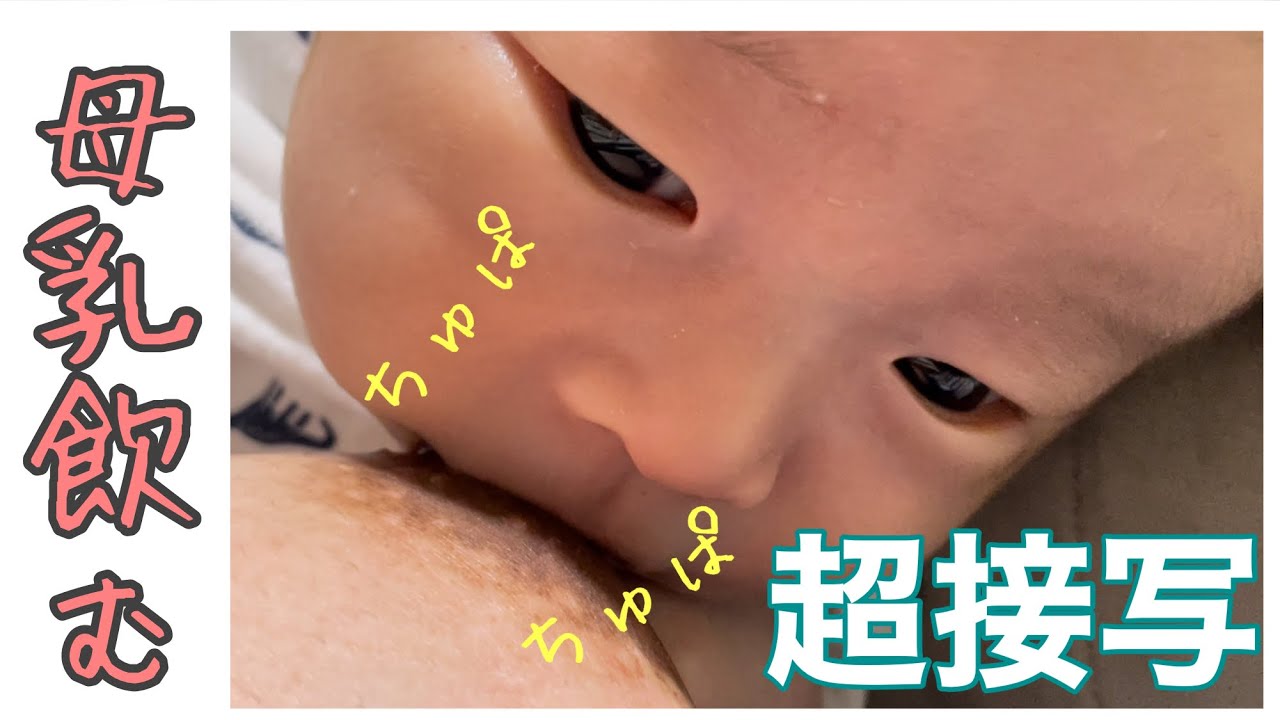 【超接写】母乳を飲む赤ちゃん