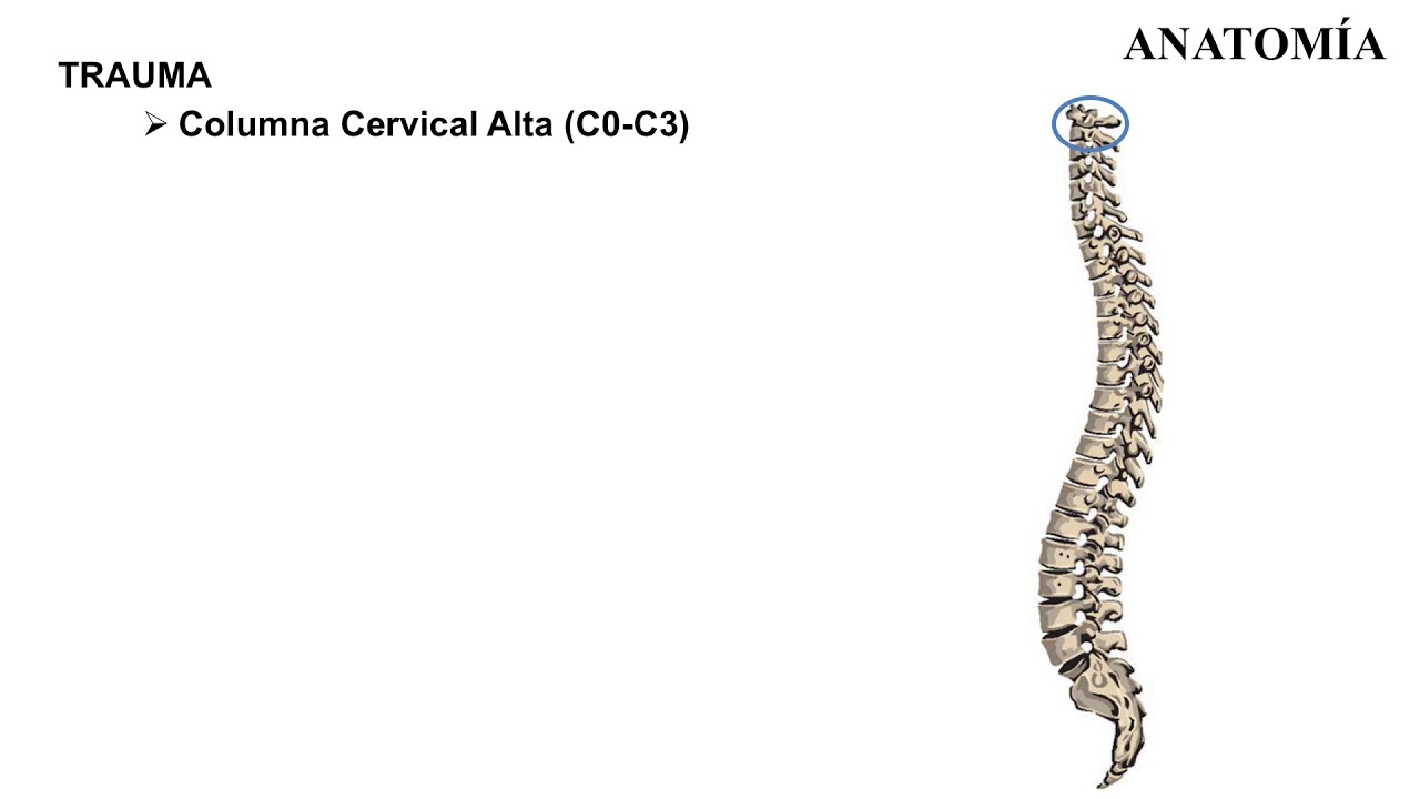 Trauma Raquimedular I