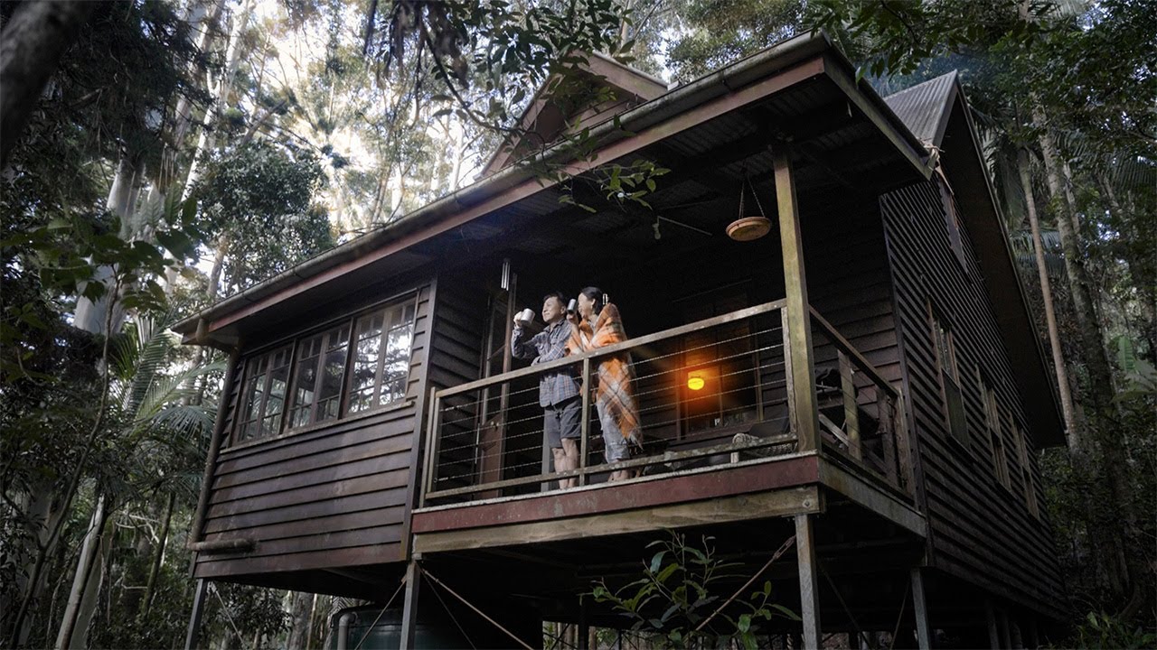 Stay at a Cozy Rainforest Cottage | Must to Do in Queensland | Nature ASMR