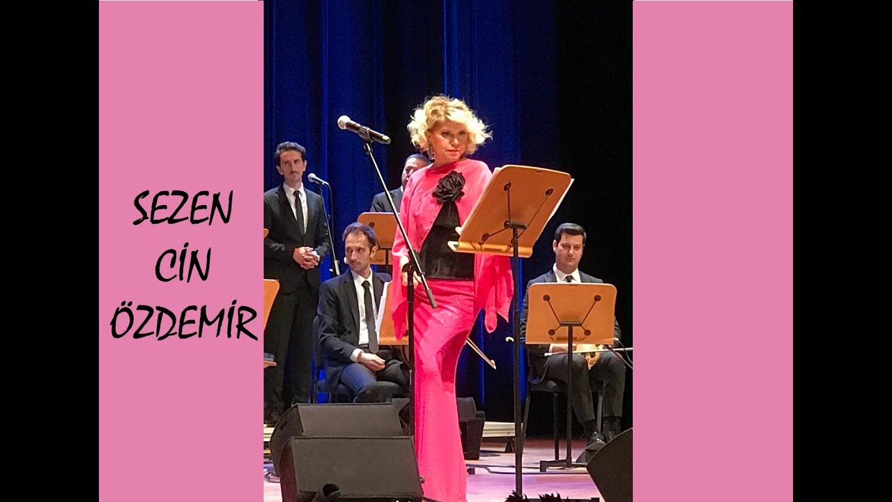 Sezen Cin Özdemir -Yaban Gülü -Saçımı Okşayıp Ördüğün Gece #sezencinözdemir #yeşilçam #turkishmusic