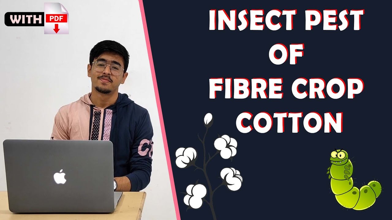 INSECT PEST OF COTTON / FIBRE CROP ENTO 311