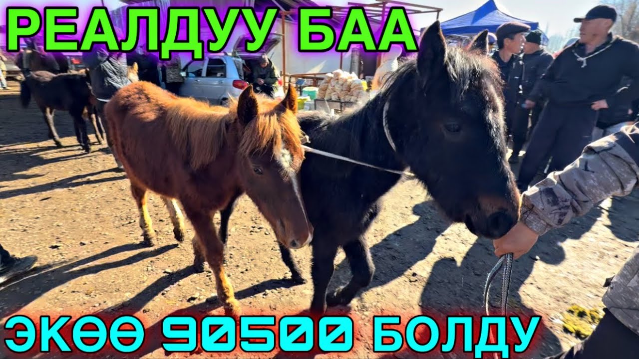 САТЫП АЛЫНГАН ЧЫНЫГЫ БААЛАР 🤩#байтв 