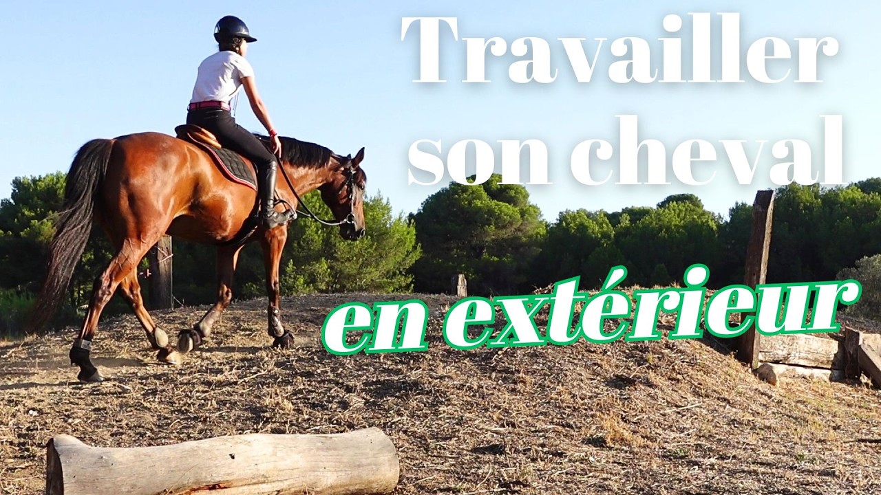 Travailler son cheval : Montée & descente en extérieur