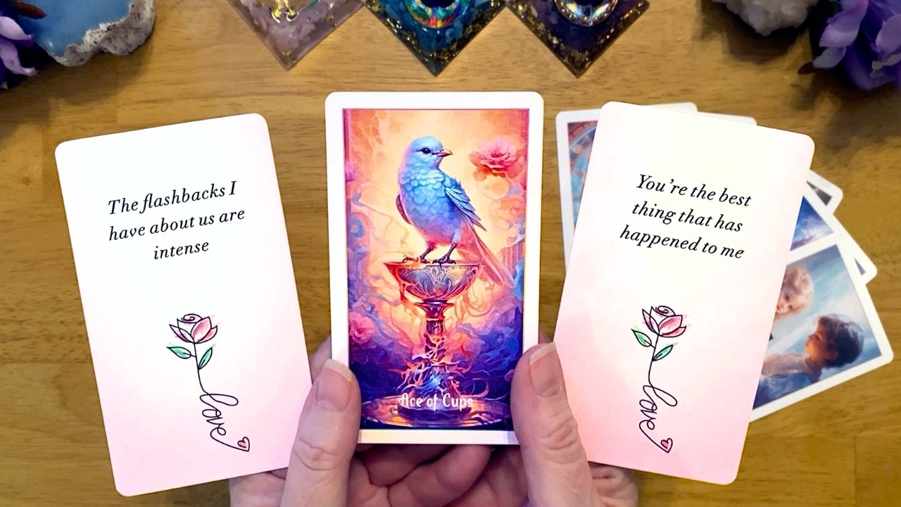 🚨 YOU NEED TO HEAR THIS MESSAGE ABOUT YOUR PERSON ASAP!♥️ (COLLECTIVE LOVE TAROT READING) DON'T SKIP