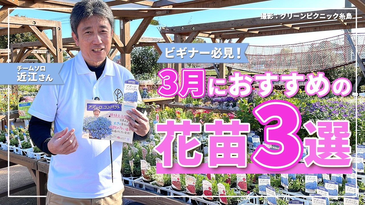 ビギナー必見！3月にwelzo