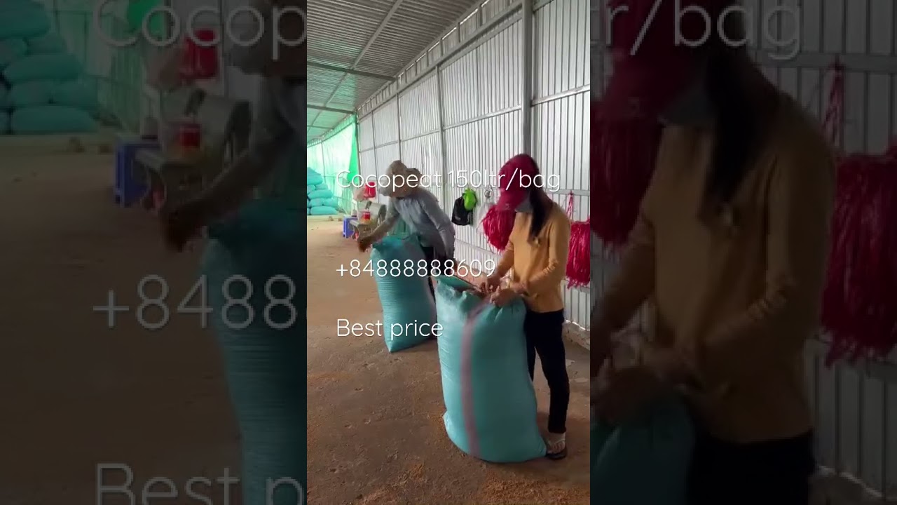 Cocopeat big bag. Cocopeat powder. Planting tree. 100% orgnaic. Made in Viet Nam +84888888609