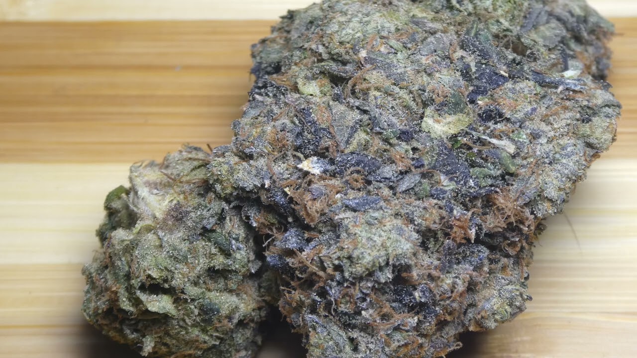Grandaddy Rockstar fr Low Price Bud