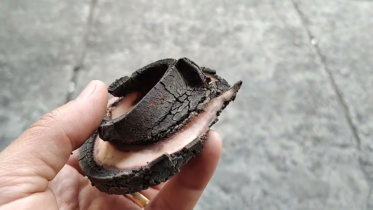 Calço de molas do Palio 98 no New Fiesta 2014, como assim??? 🤔