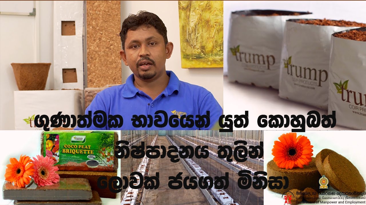 Episode 33 - ගුණාත්මක භාවයෙන් යුත් කොහුබත් නිෂ්පාදනය තුලින් ලොවක් ජයගත් මිනිසා