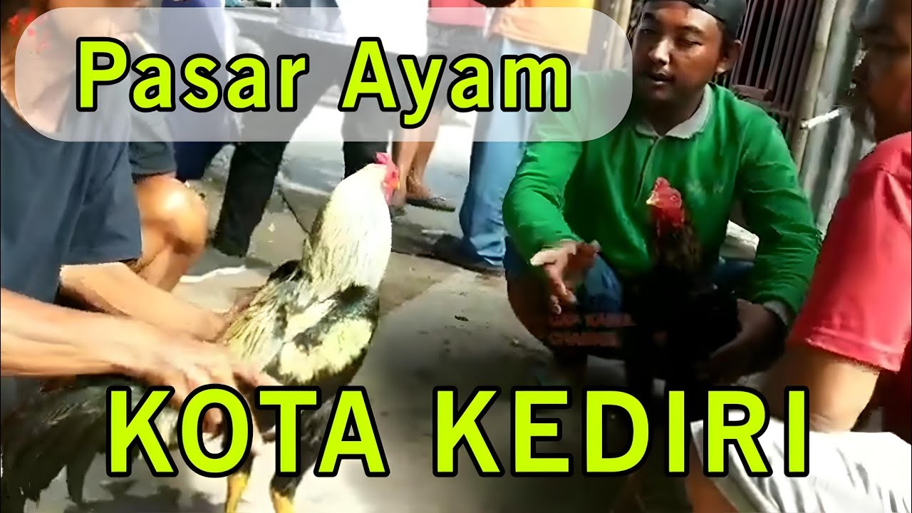 PASAR AYAM KOTA KEDIRI