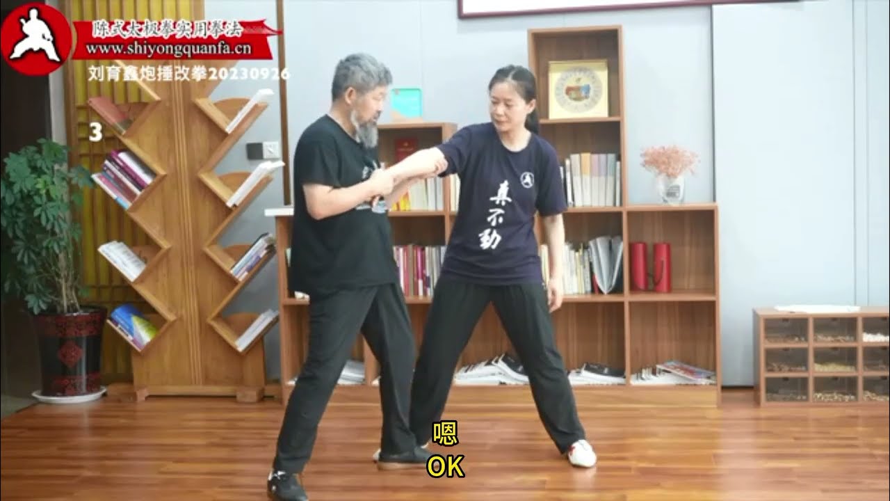 实用拳法炮捶改拳 3 Cannon Fist Correction - Chen Style Taijiquan Practical Method