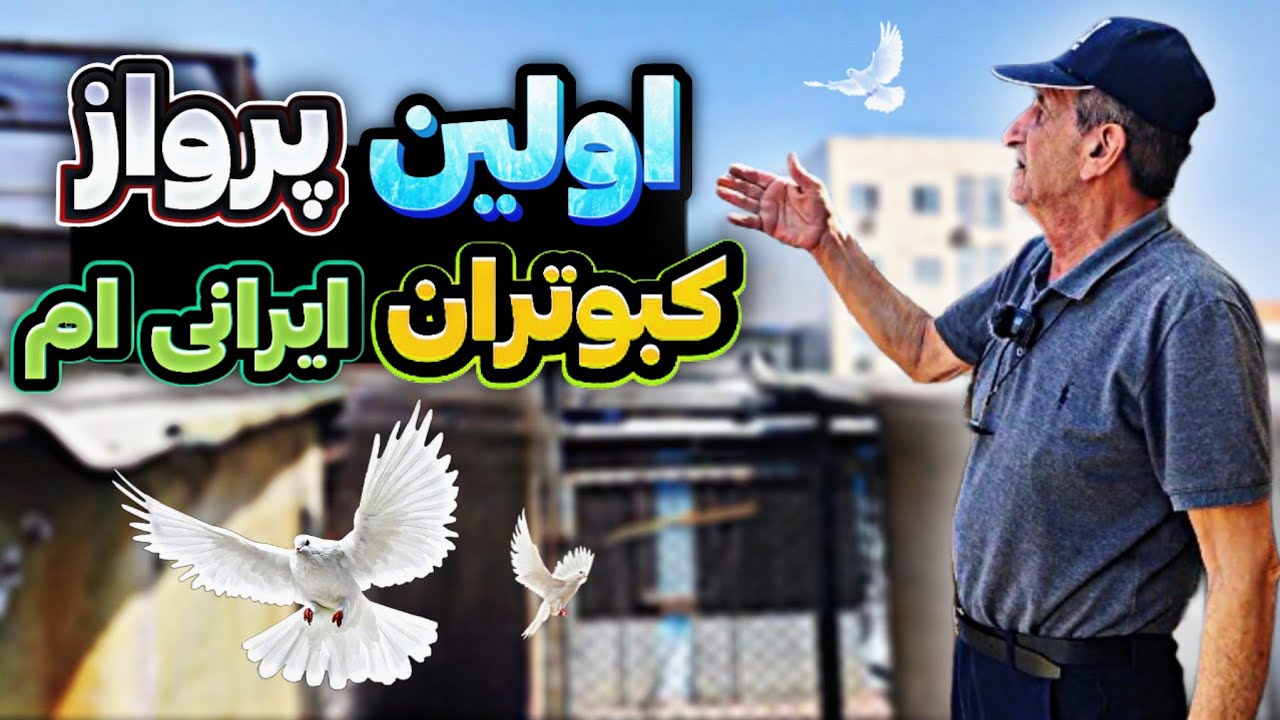 اولین پرواز کبوتران نژاد ناسا خط پایان سیروس 🏁| 🤩 NASA finish line 🪽