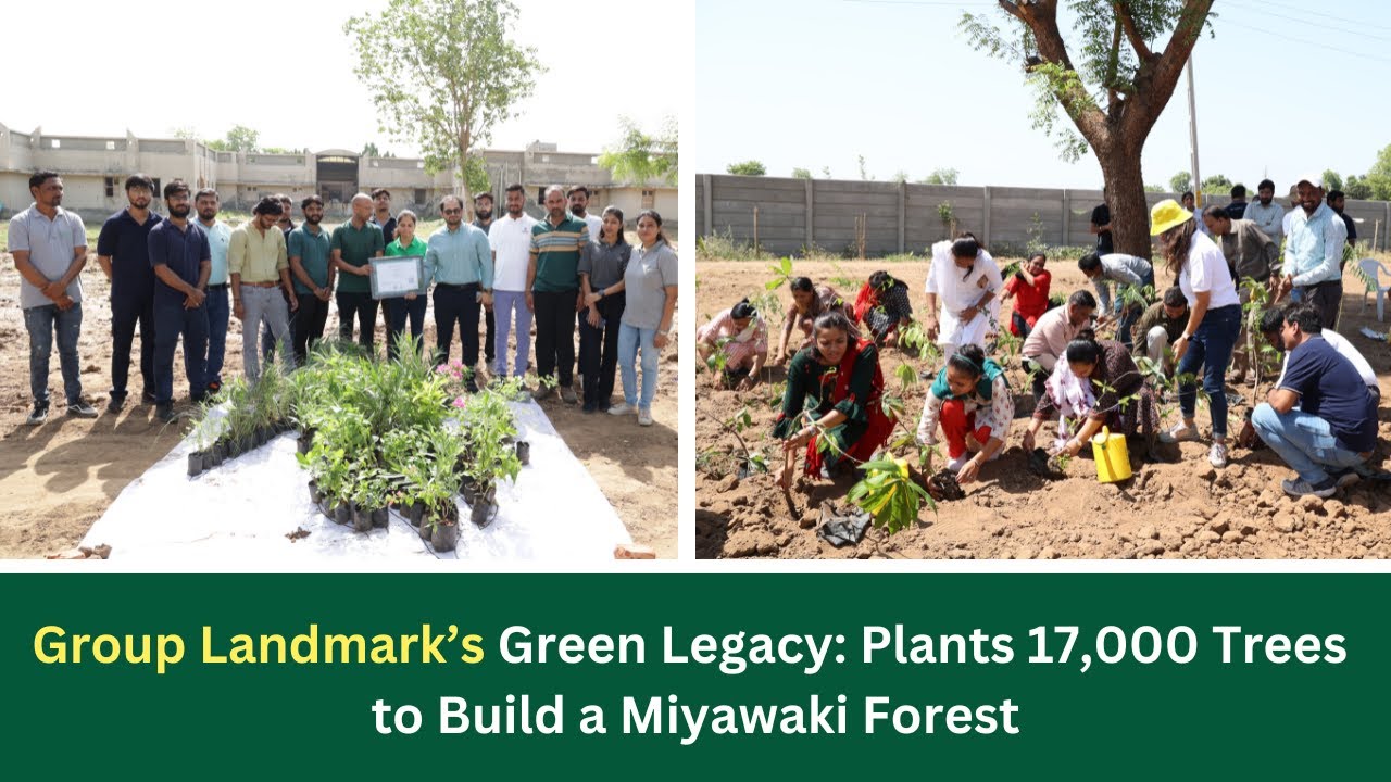How Group Landmark's Forest is Making A Difference I Grow Billion Trees