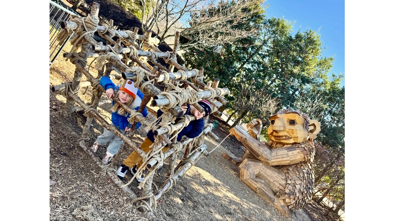 New Year's Eve Thomas Dambo Troll Hunt and Winter Lights at North Carolina Arboretum