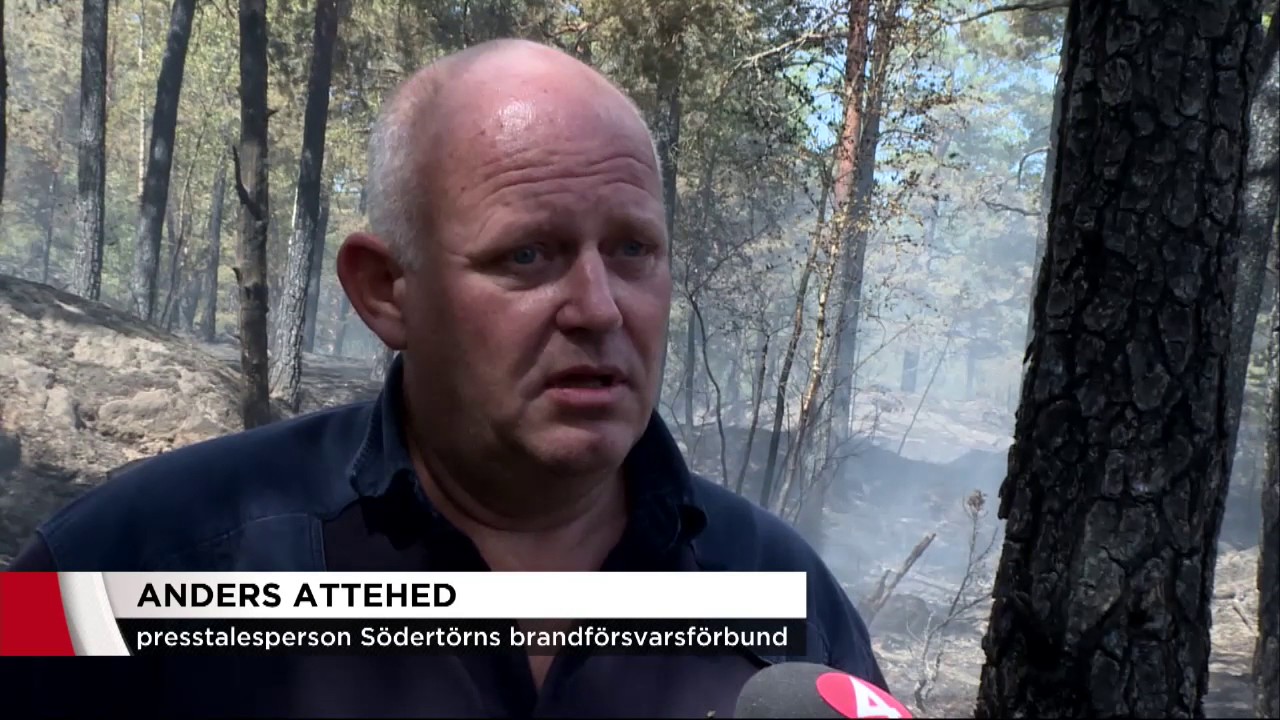 Eldningsförbud nonchaleras  - Nyheterna (TV4)