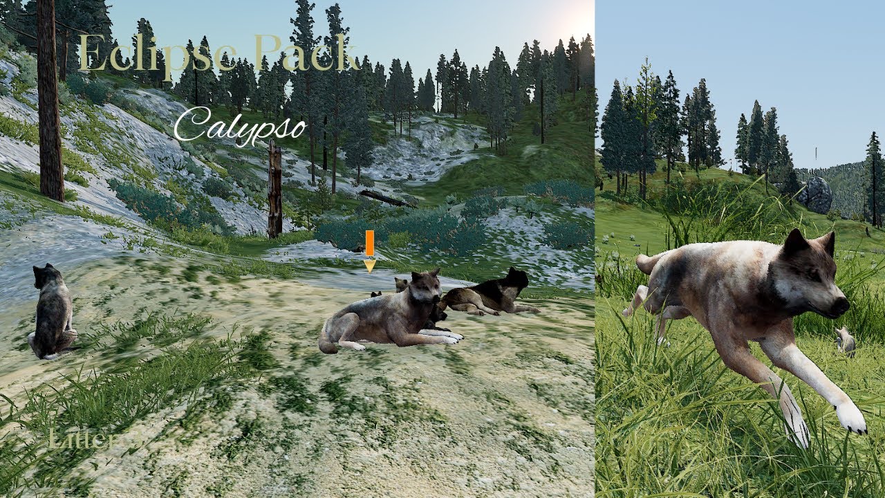 Eclipse Pack - Calypso L3 - Raise Pups [WolfQuest Saga]