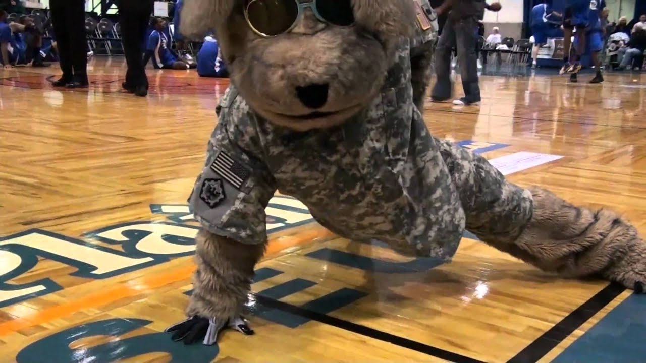 Crazy Army Dog Mascot