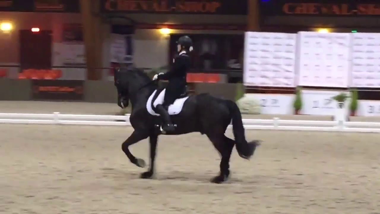 REPRISE DE DRESSAGE | Reprise B1 : Commentées par Isabelle Judet – Juge 5* Internationale