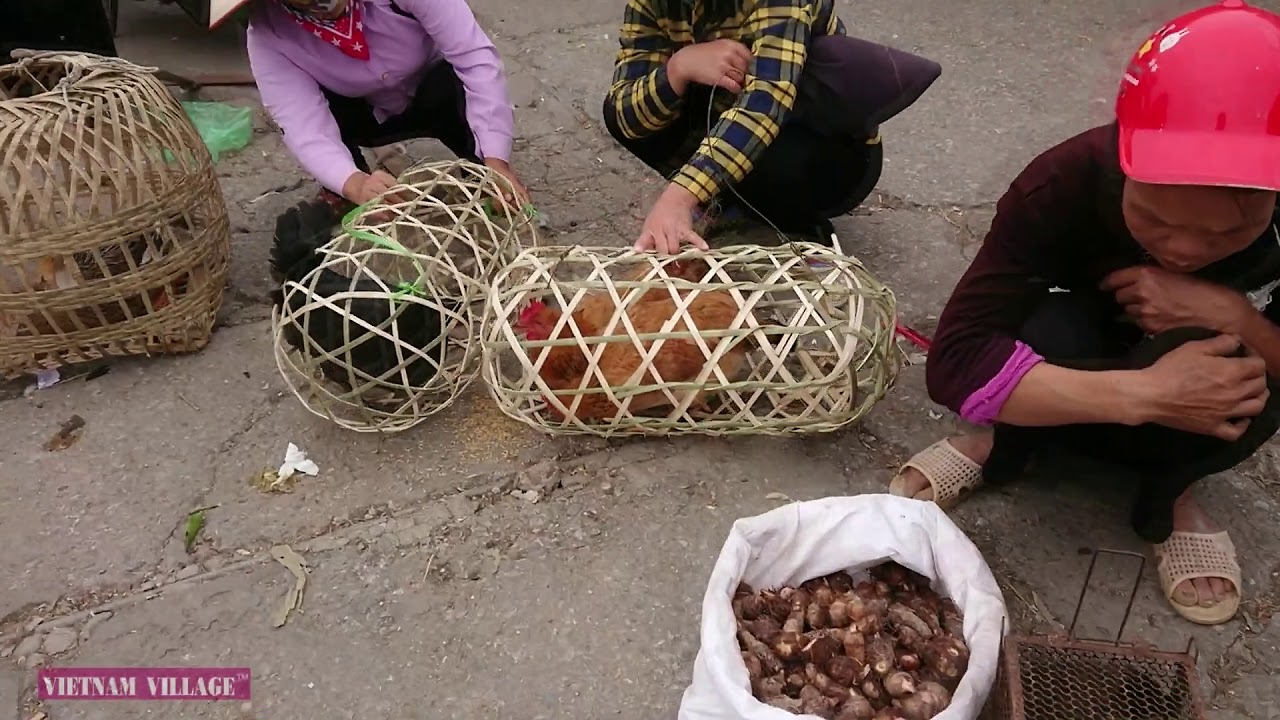 Visit The Vietnamese Market - Vietnam Village