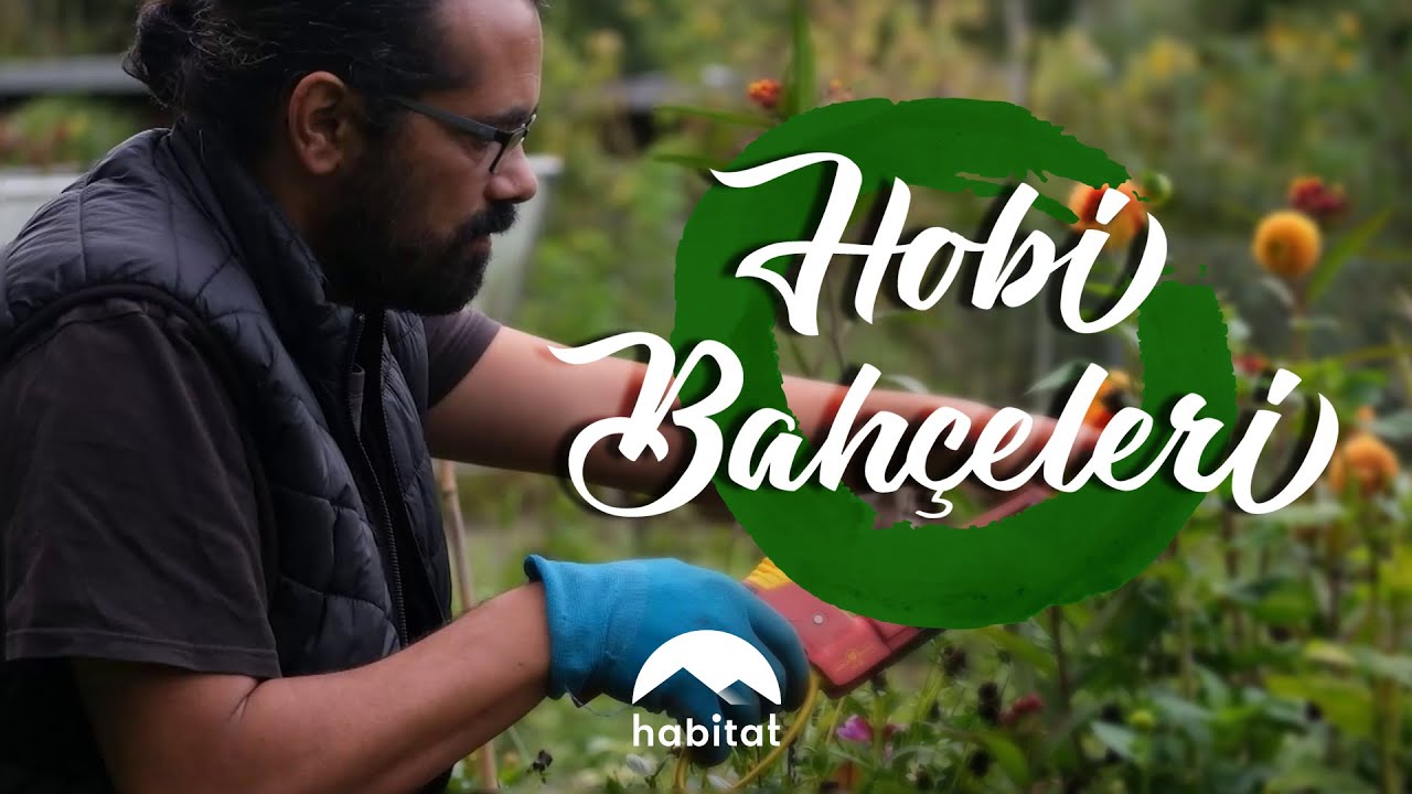 ÖZEL YAPIM | HOBİ BAHÇELERİ