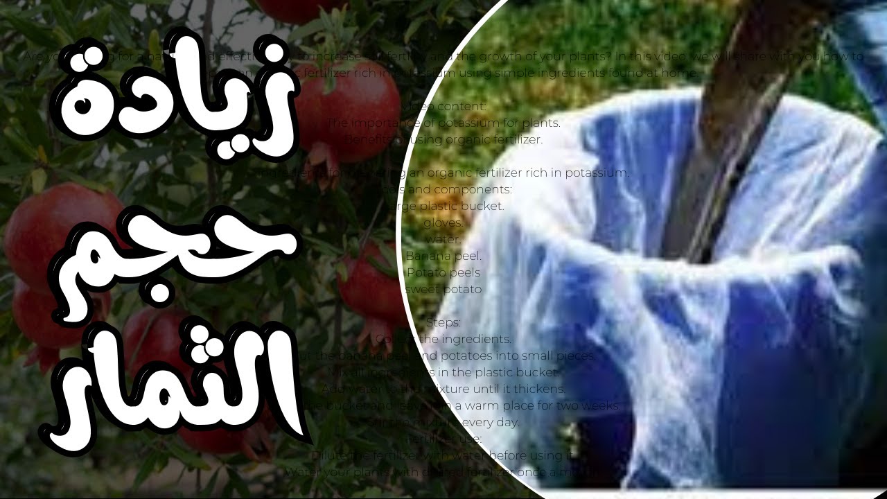 سماد بوتاسيوم عضوي 🌿 لتر واحد على 20 لتر ماء هيخلي حجم الثمار 4 أضعاف وقوة هائلة للنباتات