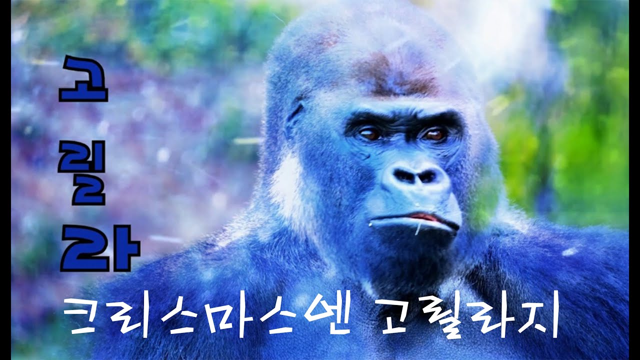 퍼플링_크오말건 (크리스마스에 눈이 오건 말건)
