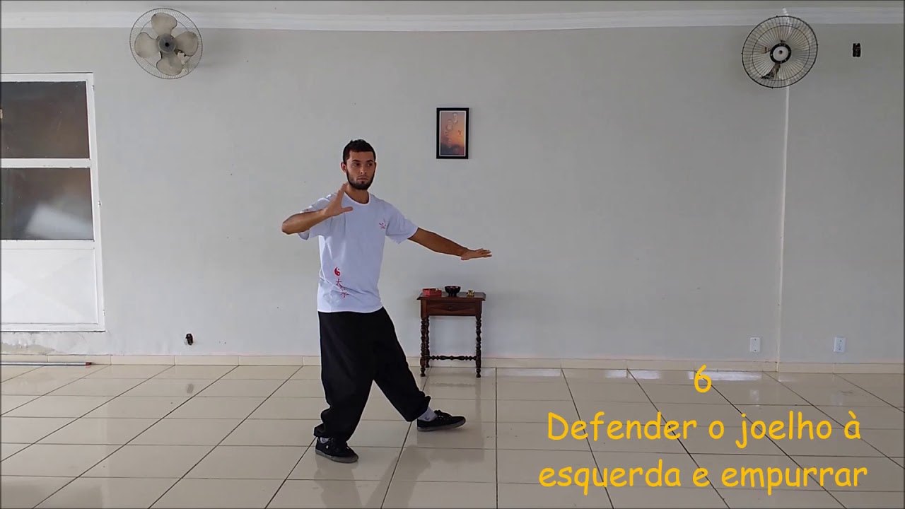 Forma 13   vista frontal