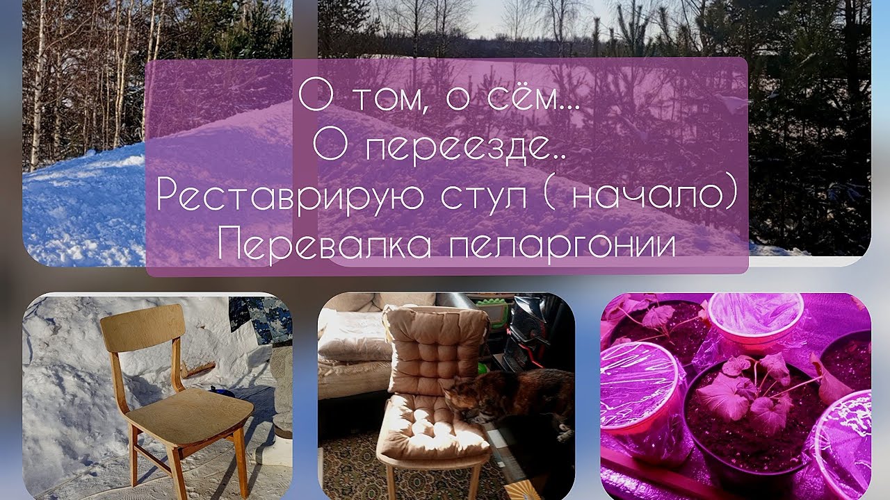 Живем в деревне..о переезде..о семье... Начала реставрировать старые стулья.. Перевалка пеларгонии.
