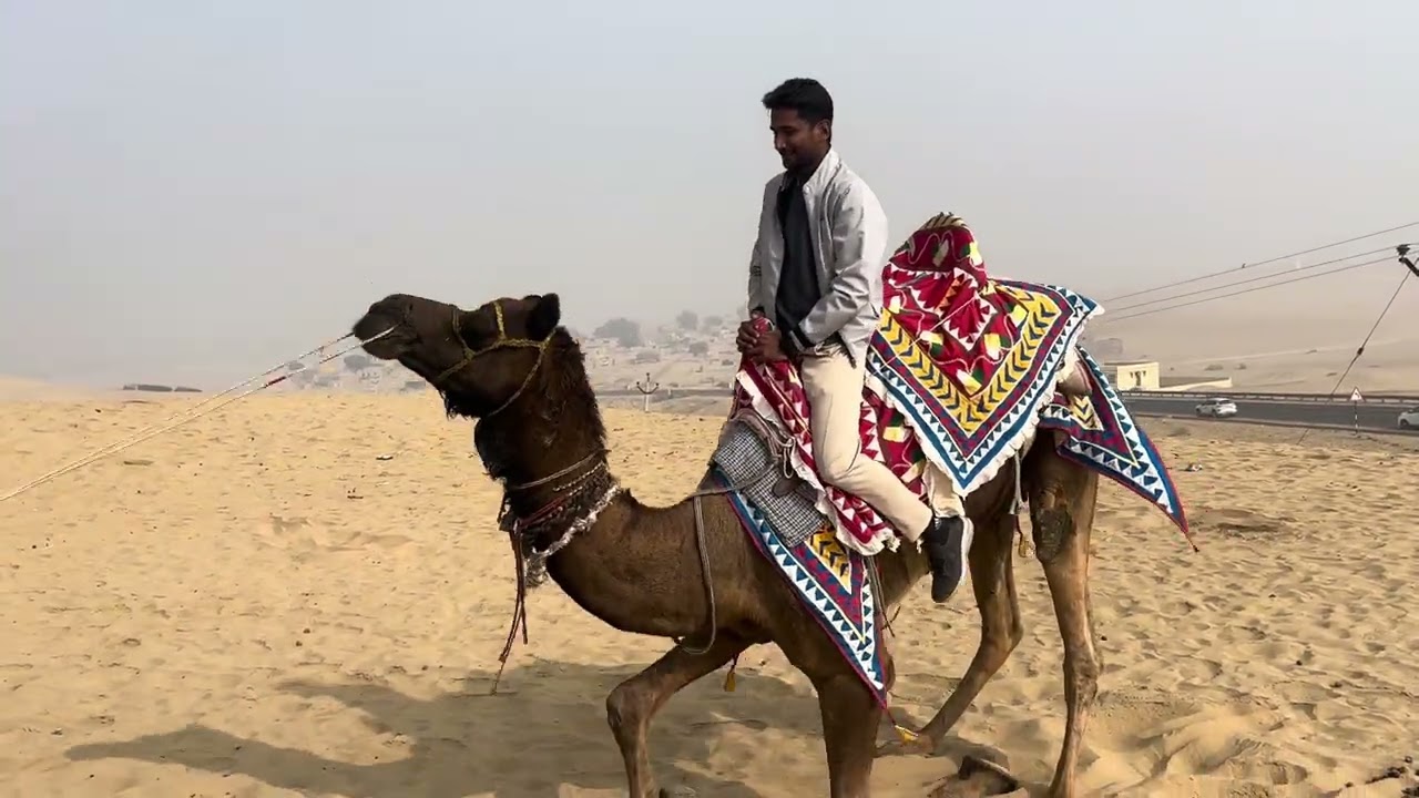 Jaisalmer Camel Safari 😍