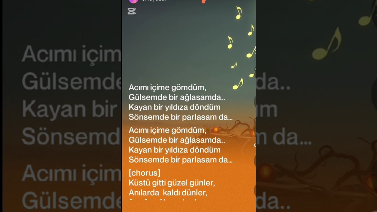 UDAY acımı içime gömdüm