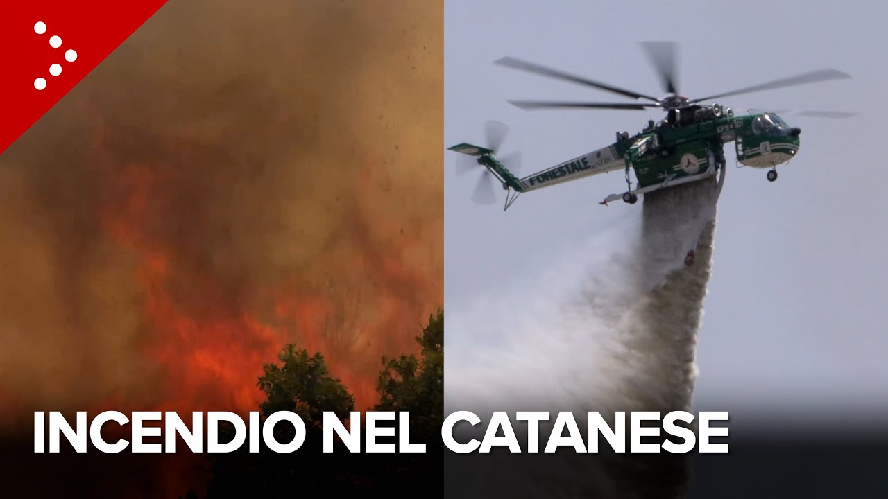 Incendio a Belpasso (Catania), a fuoco vegetazione e veicoli. 