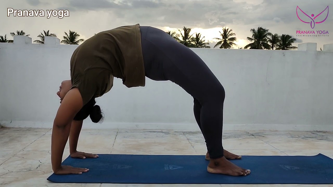 pranava yoga shorts #shorts #pranavayoga
