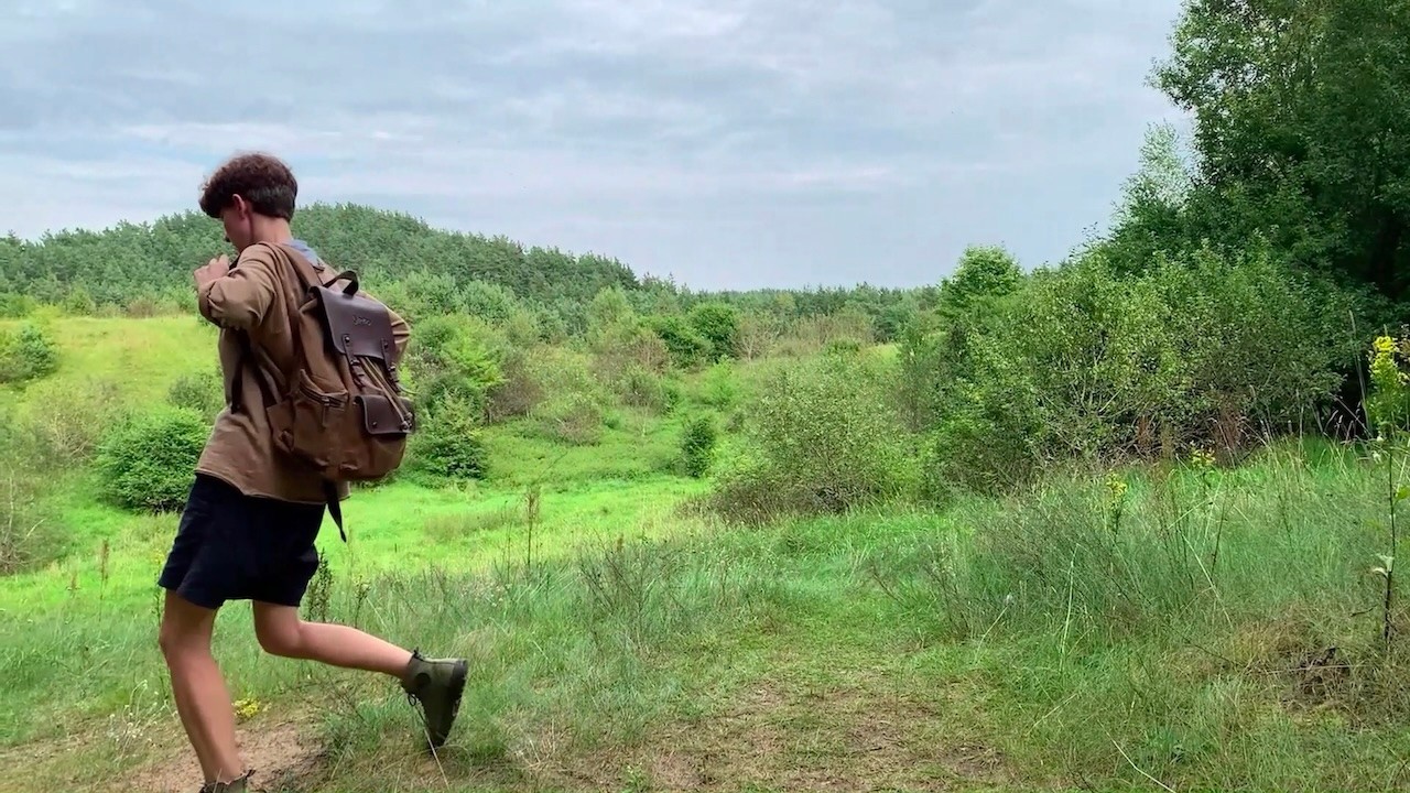 Silent walk through a Lithuanian forest