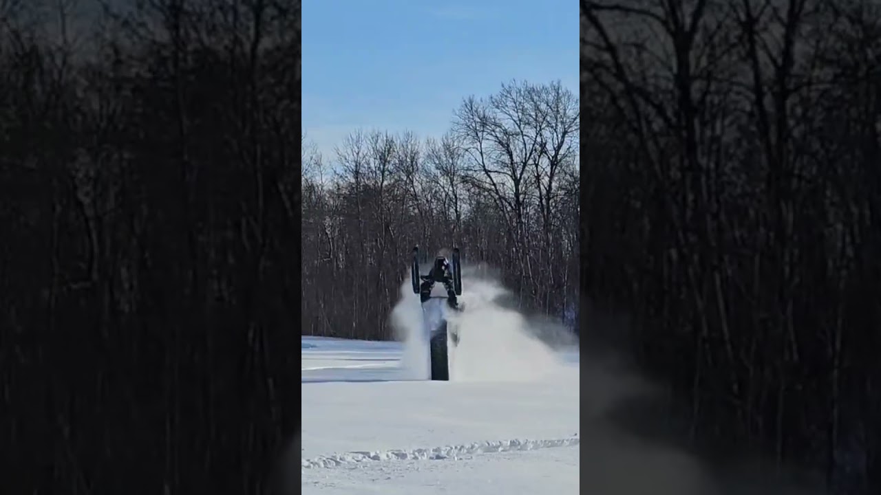2024 Arctic cat m8000