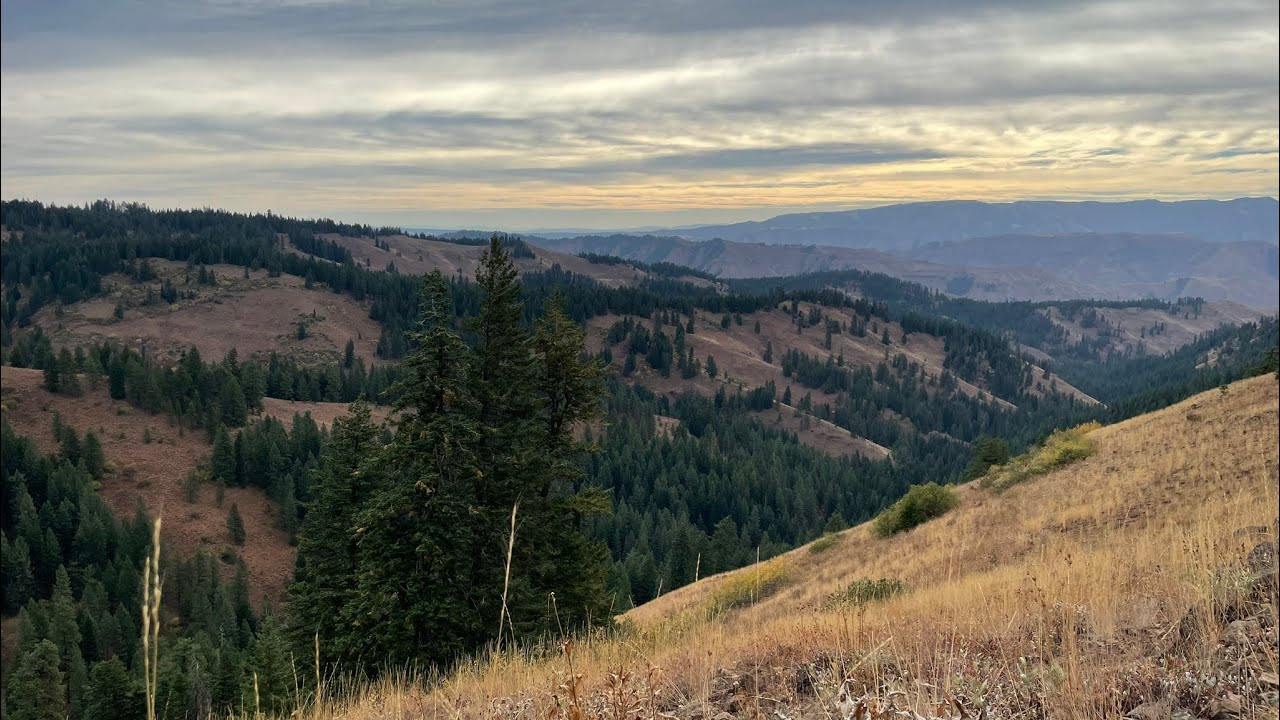 2024 Eastern Oregon Archery Elk Hunt | Hot and Smoky