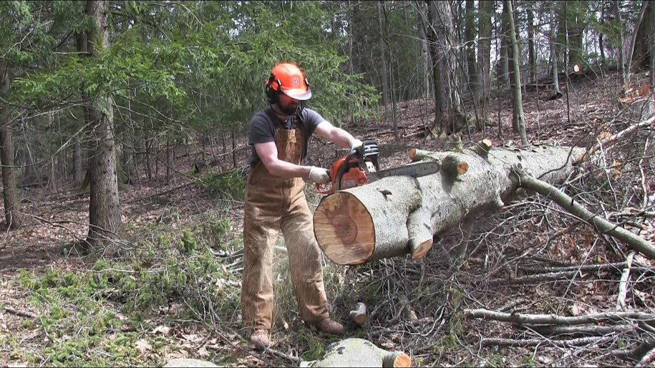Husqvarna 445 - Excellent Homeowner Chainsaw
