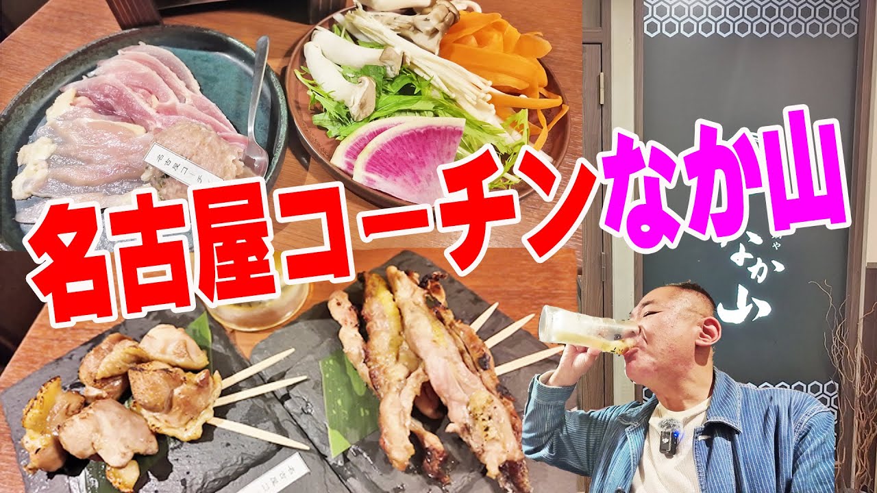 名古屋コーチン！焼き鳥＆しゃぶ鍋【愛知グルメ】名古屋グルメ探索！地元の名物料理で旅晩酌やってみた！≪焼き鳥≫≪焼肉≫≪しゃぶしゃぶ≫