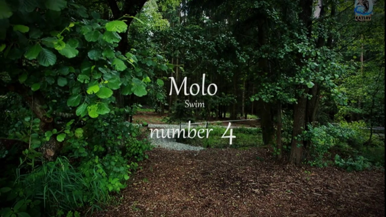 Jezero Katlov -  Molo č  4