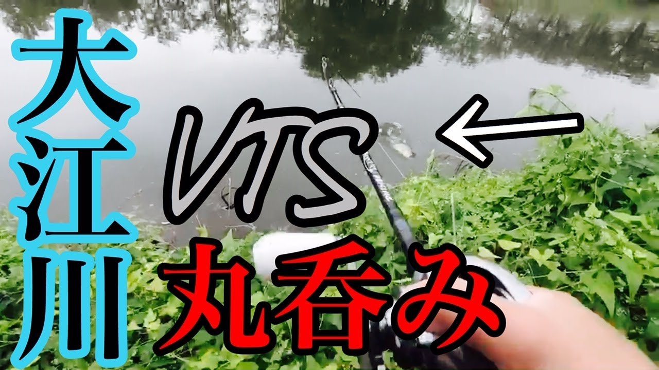 【DRT】大江川でVTSが丸呑みされた