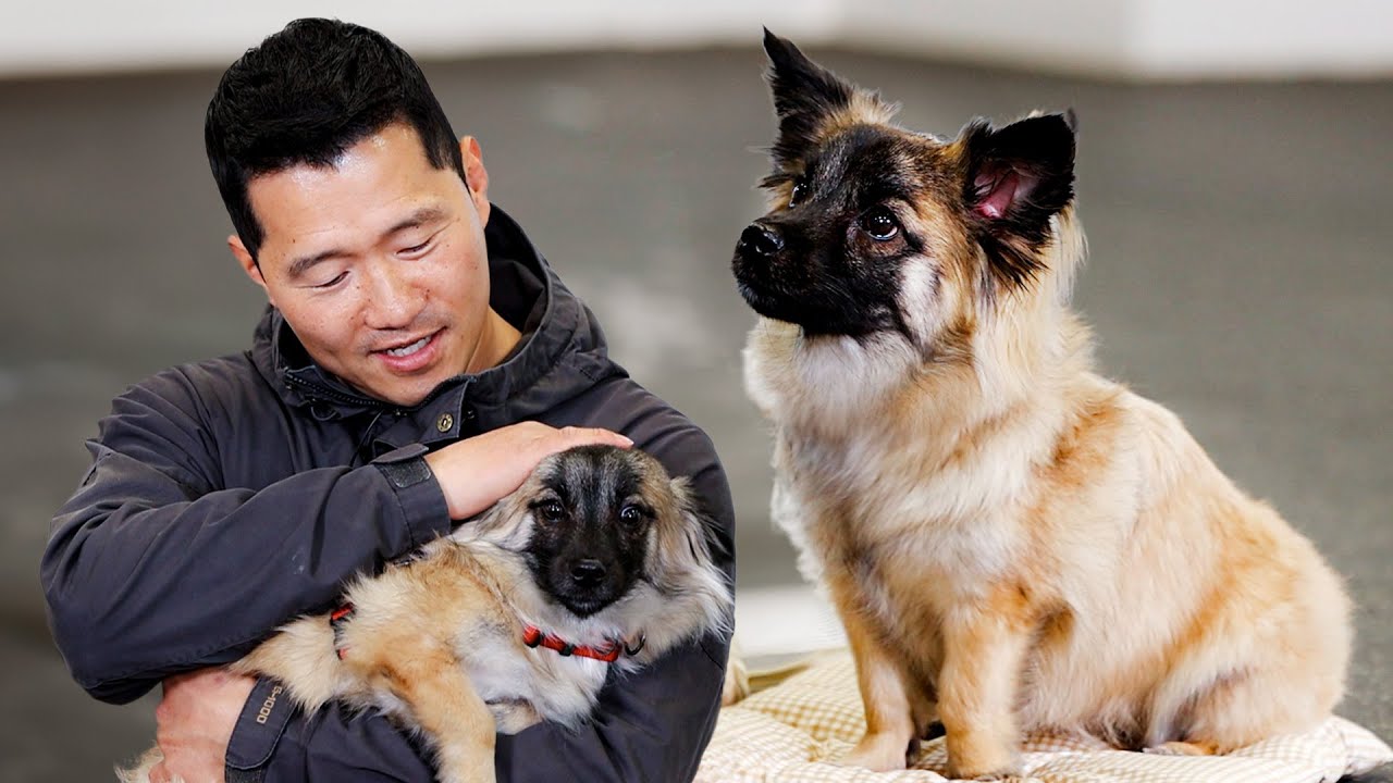 강형욱 만나고 고장난 못생긴 노을이 [주니어교육]
