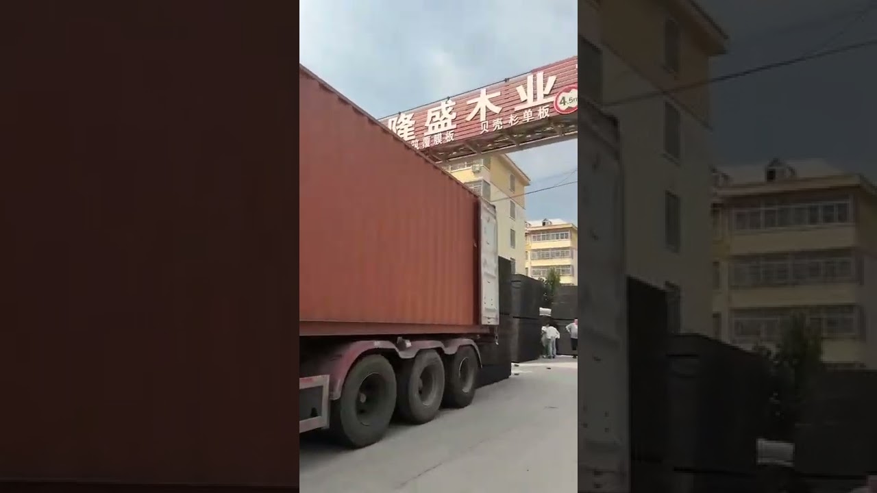 Full Birch Wire Mesh Film Faced Plywood Anti Slip,Hexa Birch Plywood, Hexagon Plywood inspection