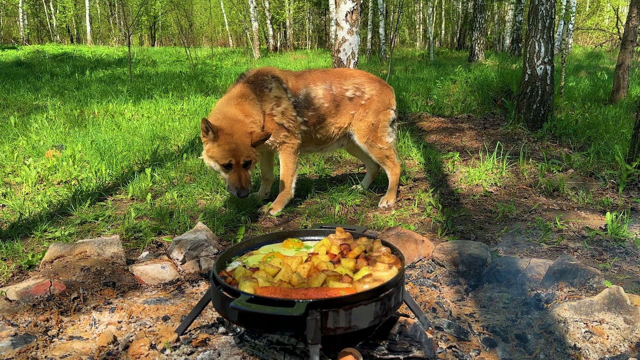 Das leckerste Essen - auf dem Feuer gekocht! Entspanntes Kochen in der Natur. ASMR