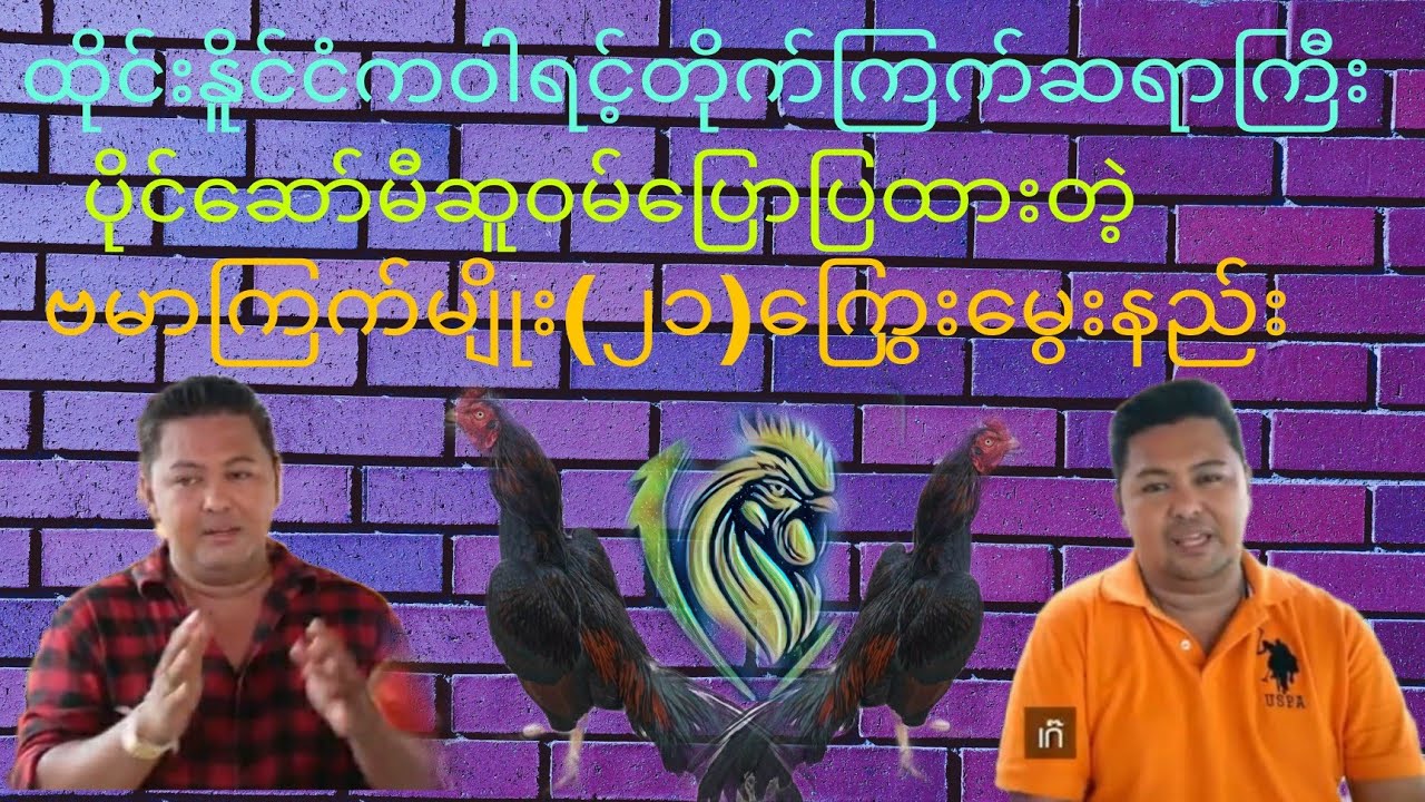 ထိုင္းနိူင္ငံ​​ဝါရင့္တိုက္ျကက္ဆရာျကီး​​​​ေ​ဆာ္မီဆူဝမ္​​​ေျပာတဲ့ဗမာၾကက္​၂၁ရက္​​ေႂကြး​ေမြးနည္​း